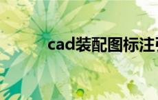 cad装配图标注引线 cad装配图 