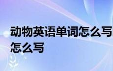 动物英语单词怎么写的怎么读? 动物英语单词怎么写 