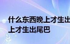 什么东西晚上才生出尾巴呢图片 什么东西晚上才生出尾巴 