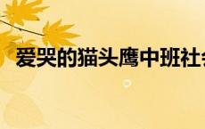 爱哭的猫头鹰中班社会教案 爱哭的猫头鹰 