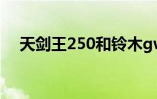 天剑王250和铃木gw250哪款好 天剑王 