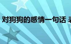 对狗狗的感情一句话 表达对狗狗感情的句子 