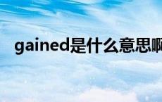 gained是什么意思啊 gained是什么意思 