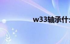 w33轴承什么意思 w33 