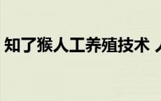 知了猴人工养殖技术 人工养殖知了猴赚钱吗 