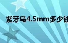 紫牙乌4.5mm多少钱一克 紫牙乌多少钱一克 