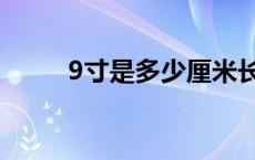 9寸是多少厘米长 9寸是多少厘米 