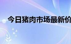 今日猪肉市场最新价格 2008年猪肉价格 