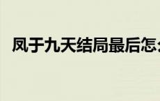 凤于九天结局最后怎么没了 凤于九天结局 