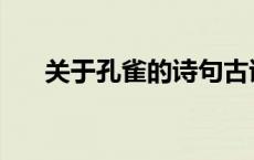 关于孔雀的诗句古诗 关于孔雀的诗句 