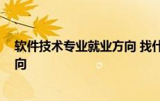 软件技术专业就业方向 找什么工作好 软件技术专业就业方向 