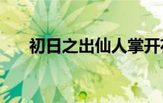 初日之出仙人掌开花吗 仙人掌开花吗 