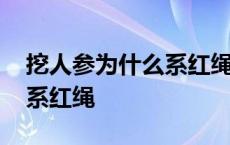 挖人参为什么系红绳真会跑吗 挖人参为什么系红绳 