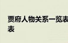 贾府人物关系一览表图片 贾府人物关系一览表 