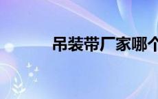 吊装带厂家哪个厂的好 吊装带 