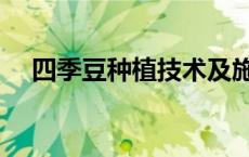 四季豆种植技术及施肥方法 四季豆种植 