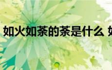 如火如荼的荼是什么 如火如荼的荼什么意思 