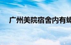 广州美院宿舍内有蟑螂吗 广州美院宿舍 