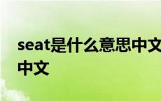 seat是什么意思中文翻译成 seat是什么意思中文 