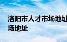 洛阳市人才市场地址属于哪个区 洛阳人才市场地址 