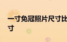 一寸免冠照片尺寸比例毫米 一寸免冠照片尺寸 