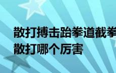 散打搏击跆拳道截拳道有什么区别 截拳道和散打哪个厉害 