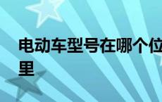 电动车型号在哪个位置 电动车型号在车身哪里 