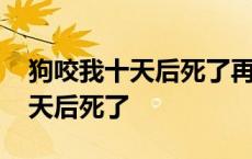 狗咬我十天后死了再打疫苗有用吗 狗咬我十天后死了 