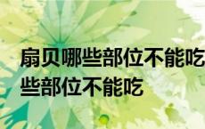 扇贝哪些部位不能吃 生蚝怎么吃图解 扇贝哪些部位不能吃 