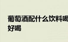 葡萄酒配什么饮料喝好喝 葡萄酒配什么饮料好喝 