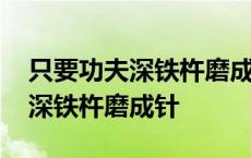 只要功夫深铁杵磨成针类似的谚语 只要功夫深铁杵磨成针 