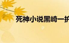 死神小说黑崎一护 死神之黑崎白宇 