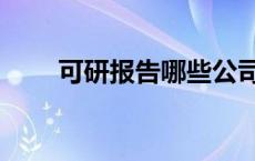 可研报告哪些公司可以做 可研报告 