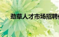 劲草人才市场招聘信息 劲草人才市场 