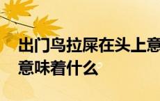 出门鸟拉屎在头上意味着什么 鸟拉屎在头上意味着什么 