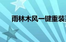 雨林木风一键重装系统官网 雨木林风 