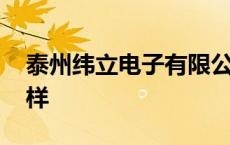 泰州纬立电子有限公司 泰州纬立电子厂怎么样 