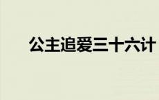 公主追爱三十六计 公主猎爱三十六计 