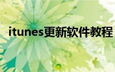 itunes更新软件教程 itunes怎么更新软件 