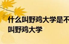 什么叫野鸡大学是不是就是私立的大学 什么叫野鸡大学 