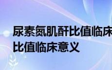 尿素氮肌酐比值临床意义是什么 尿素氮肌酐比值临床意义 