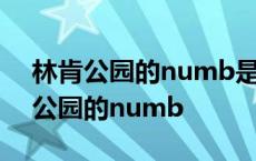 林肯公园的numb是CSGO的主题曲吗 林肯公园的numb 