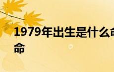 1979年出生是什么命男 1979年出生是什么命 