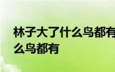 林子大了什么鸟都有的优雅说法 林子大了什么鸟都有 