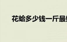 花蛤多少钱一斤最好 花蛤多少钱一斤 