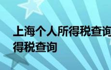 上海个人所得税查询退了多少钱 上海个人所得税查询 