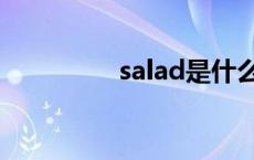 salad是什么意思 salad 