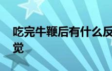 吃完牛鞭后有什么反应 吃完牛鞭后有什么感觉 