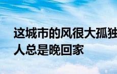 这城市的风很大孤独的人总是晚回家 孤独的人总是晚回家 