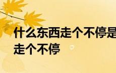 什么东西走个不停是什么生肖 什么东西整天走个不停 